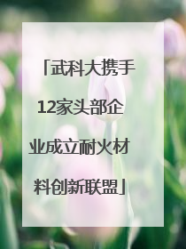 武科大携手12家头部企业成立耐火材料创新联盟